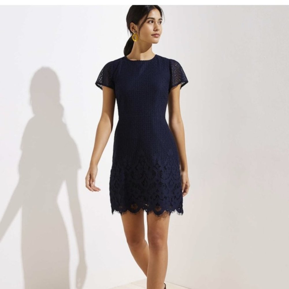 LOFT Navy Lace Size 16 Shift Dress